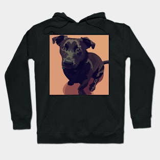 A Dog Hoodie